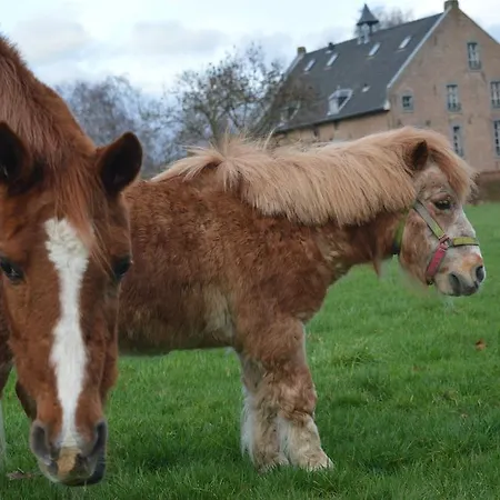 Chateau Holtum Born